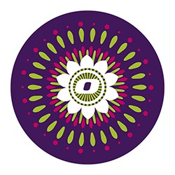 TROLLEY ROLLER NIKIDOM CHAPAS ALOHA